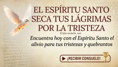 Oración del día al Espíritu Santo: Jueves 30 de abril 2026 - El Consuelo Divino