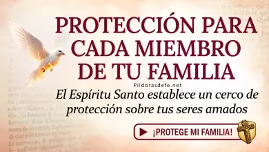 Oración del día al Espíritu Santo: Viernes 17 de abril 2026 - Protección de la Familia