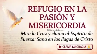 Oracion del dia al Espiritu Santo viernes  marzo 