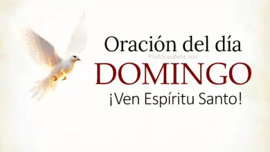 oracion del dia domingo  feb  espiritu santo oracion diaria