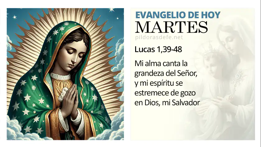 evangelio de hoy martes lecturas del dia lucas webp