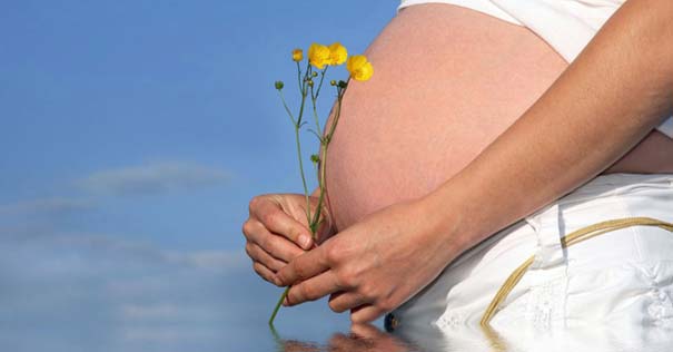 mujer embarazada sosteniendo flor sobre su barriga