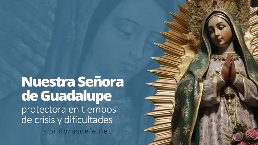 nuestra senora de guadalupe protectora tiempos de crisis dificultadeswebp