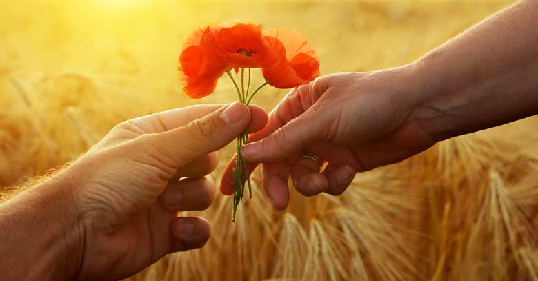 regalando una flor anaranjada en el campo obsequio de amor