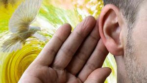Cómo escuchar las inspiraciones del Espíritu Santo en nuestra vida