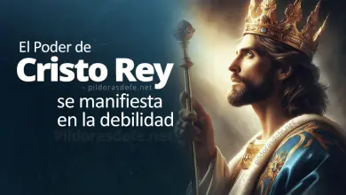 El Poder de Jesucristo, Rey del universo, reside en la Debilidad